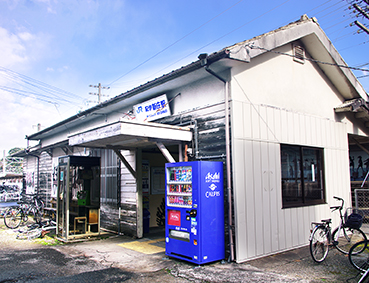 �I�ɐV���w