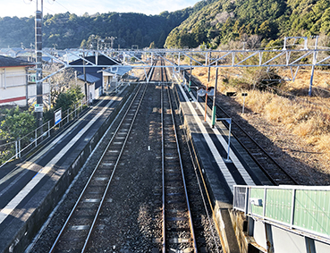 �I���� �I�ɓc���w