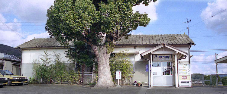 �I�ɓ����w