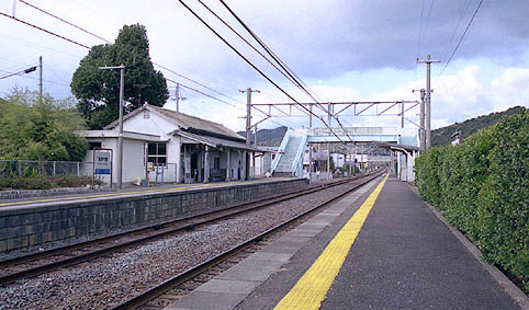 �I�ɓ����w