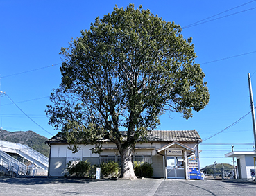 �I���� �I�ɓ����w