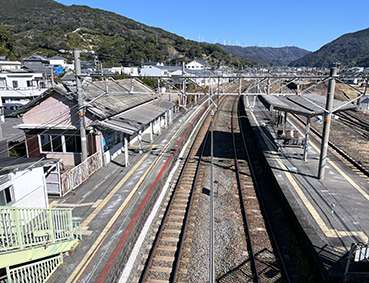 �I���� �I�ɗR�ǉw