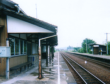 ���މw�@���w��