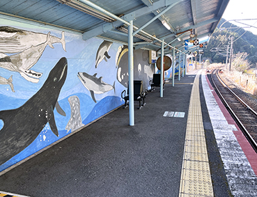 �I���� ���n�w