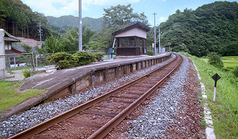 �ɐ����q�w