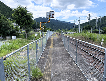 ������ �ɐ��|���w