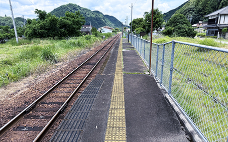 ������ �ɐ��|���w