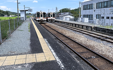 ������ �Ə�w