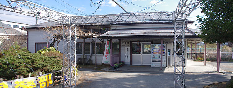 ���B�w���w��