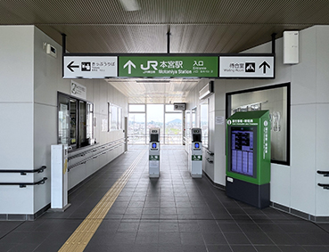 ���k�� �{�{�w