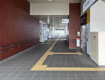 ���k�� �{�{�w