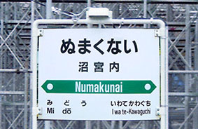 ���{���w