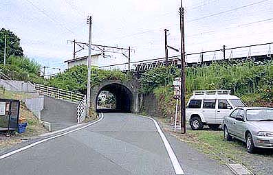 �����w����