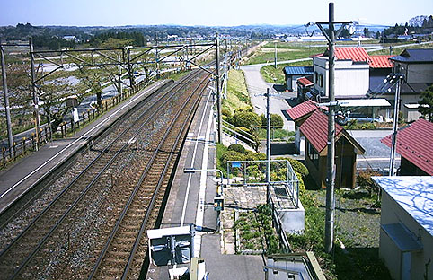 �������w