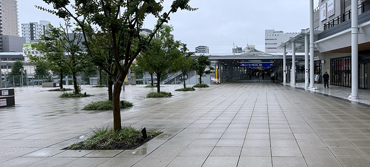 ���k�� �F�s�{�w