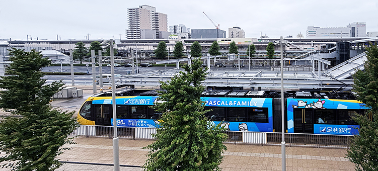 ���k�� �F�s�{�w