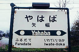 ��w���w��