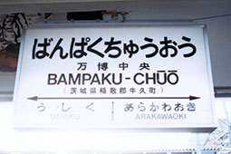 ���������w