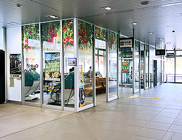 ��֐� ���킫�w