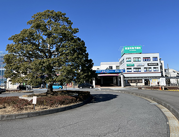 ��֐� ���P��s�w