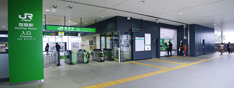 ��z�� �w��w