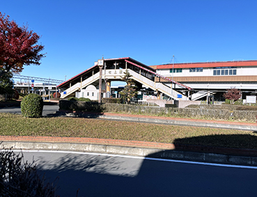 ����� ����w