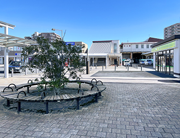 ����� ����w