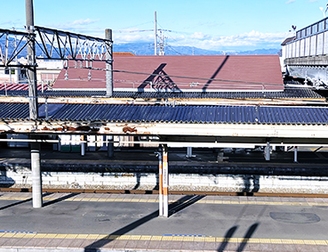 ����� �_�ی��w