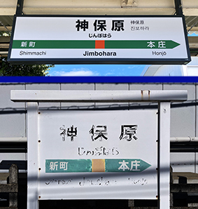 ����� �_�ی��w