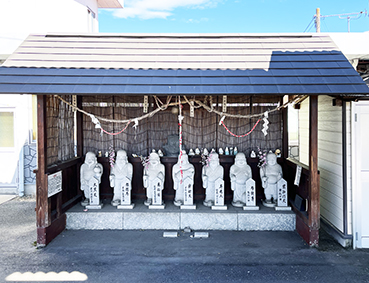 ����� �_�ی��w