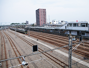 ����� �Č��w