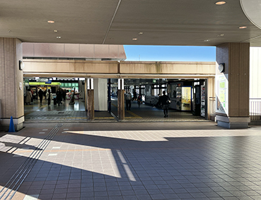 ����� �����w