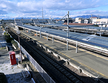 ����� �����w