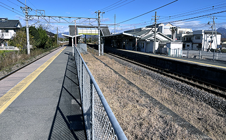 ��z�� �Q�n���Љw