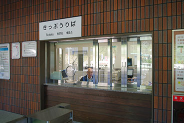 �쌴������w