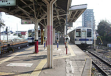 �ɐ���w ���w��