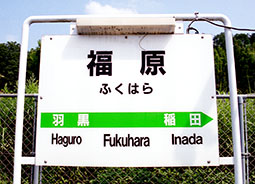 �����w ���w��