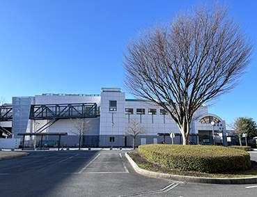 ���ː� ����w