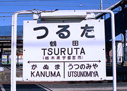 �ߓc�w ���w��