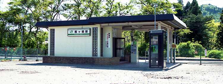 �F�����w