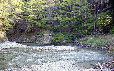 ���c�X�w�@�V�색�C��