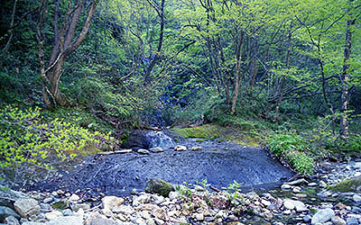 ���c�X�w�@�V�색�C��