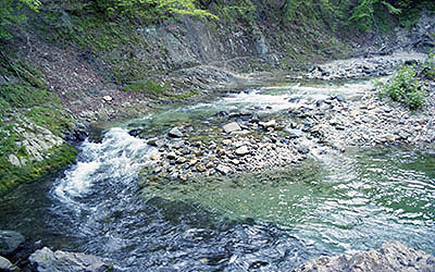 ���c�X�w�@�V�색�C��