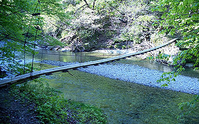 ���c�X�w�@�V�색�C��