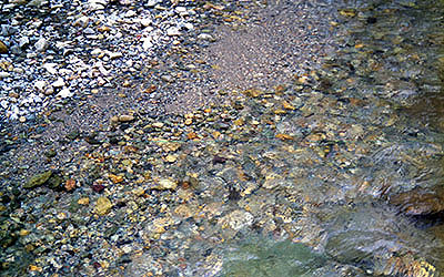 ���c�X�w�@�V�색�C��