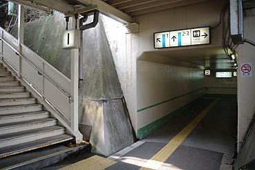 �������w