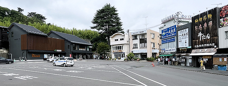 ��ΐ� �����C�݉w