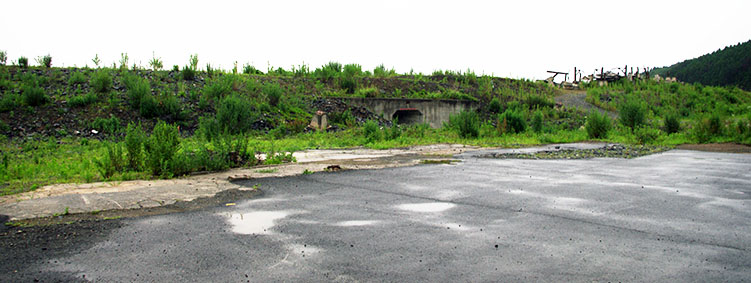 ���O����w