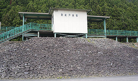 ���O�ˑq�w