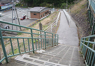 �̒Éw���w��